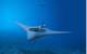 Artist’s concept of Manta Ray UUV. Image courtesy DARPA