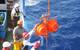 Free Fall Grab being recovered after safely travelling to the seafloor 5,124 meters below the vessel. © Moana Minerals Ltd / Ocean Minerals LLC
