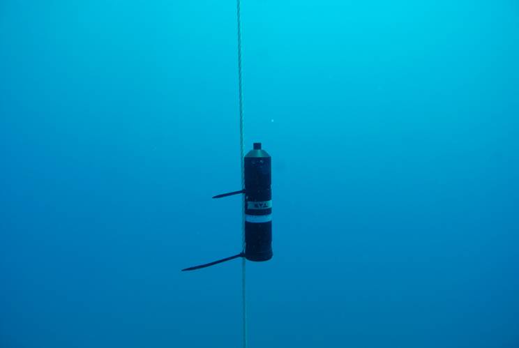 Deployed acoustic receiver, listening for acoustically tagged fish in the Aegean Sea, Turkey. © Aytaç Özgül
