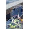 Dish with droplets of blow mounted on a small drone. (Photo by Amy Warren,
NEAq/WHOI, NMFS/NOAA Permit #21371)
