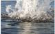 Figure 1. An eye-catching demonstration of Buoyant Force! (Photo courtesy of Teledyne Benthos, 2010)