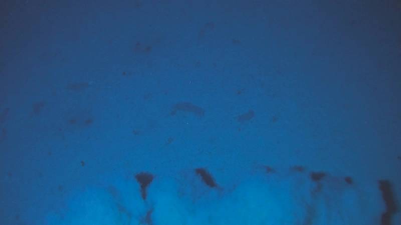 Figure 1a: A plume of sediment is kicked up as the benthic lander Audacia touches down at 8,024m on January 26, 2018. On the next dive the benthic lander reached the deepest depth of the Peru-Chile Trench, 8,081m. Holothurians, amphipods, polychaetes, and other animals were observed, and some captured in a baited trap. The lander was operated from the Chilean scientific vessel Cabo de Hornos, operated by the Chilean Armada. (Image: Courtesy Kevin Hardy and Atacamex 2018)