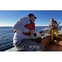  Image: Jared Figurski © 2022 MBARI