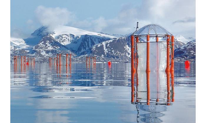 KOSMOS mesocosms in Kongsfjord, Svalbard. (Image credit: Signe Klavsen, GEOMAR)
