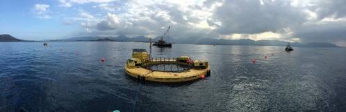 The Lifesaver Energy Platform was deployed at the U.S. Navy's Wave Energy Test Site in Hawaii. (Photo: Naval Facilities Engineering Command, Engineering and Expeditionary Warfare Center).
