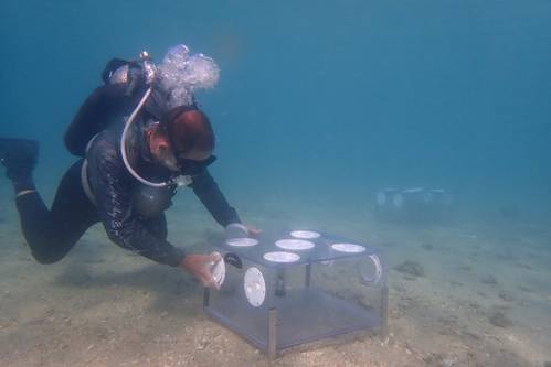 Source: CSIRO