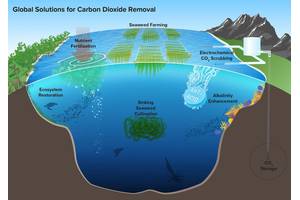 While ocean-based carbon dioxide removal can take a multitude of forms, there are at least six prominent methods (represented here) considered in the recently released NASEM report. © Woods Hole Oceanographic Institution, illustration by Natalie Renier